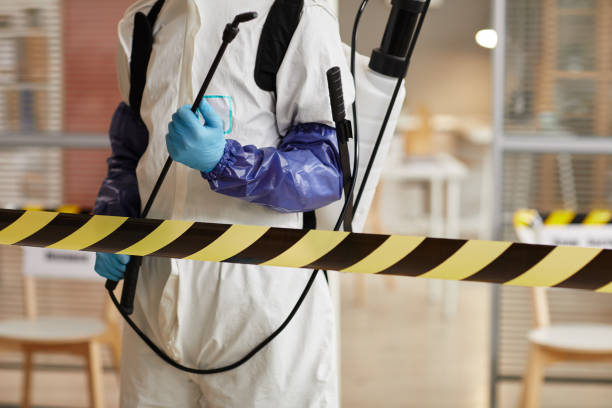 Professional Blood Cleanup technician working in Matlock, WA